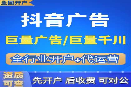 XX行业竞价广告的投放策略与效果分析
